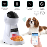 Alimentador automático para mascotas con Wifi, cámara HD y App móvil