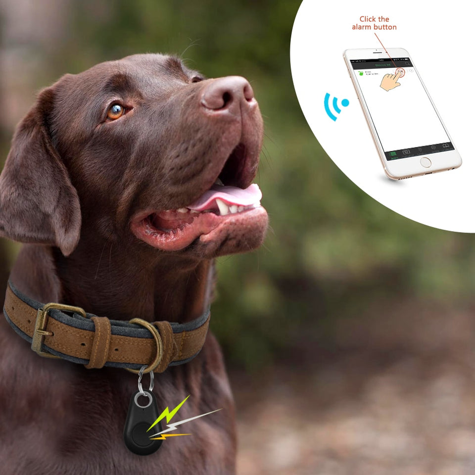 Rastreador de mascotas Bluetooth Anti-Perdida Impermeable