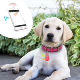 Rastreador de mascotas Bluetooth Anti-Perdida Impermeable