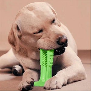 Juguete cepillo dental para perros