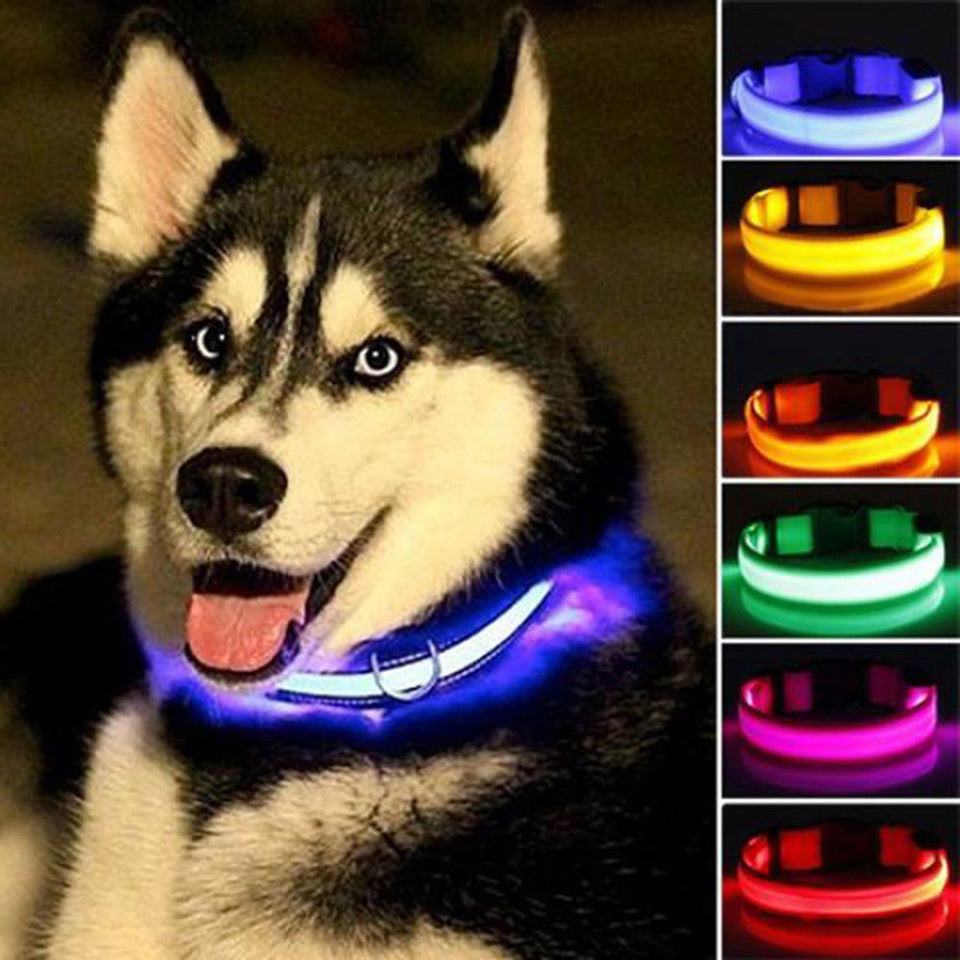 Collar Led Para Cuidar A Tu Perro Brillan En La Oscuridad