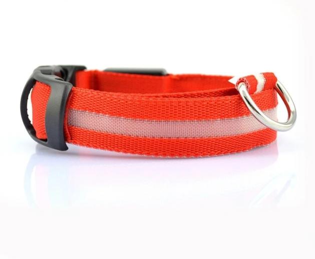 Collar Led Para Cuidar A Tu Perro Brillan En La Oscuridad