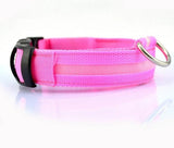 Collar Led Para Cuidar A Tu Perro Brillan En La Oscuridad